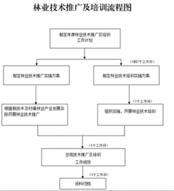 創新林業技術推廣培訓，助力林業現代化發展
